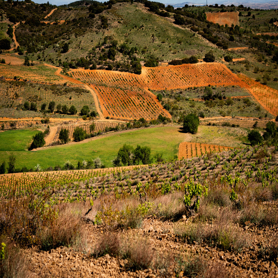 carinena_castillo_de_monseran_wine_terroirs_in_spain